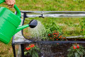 Minidrivhus 120 x 80 cm stål m/plastduk - Garden